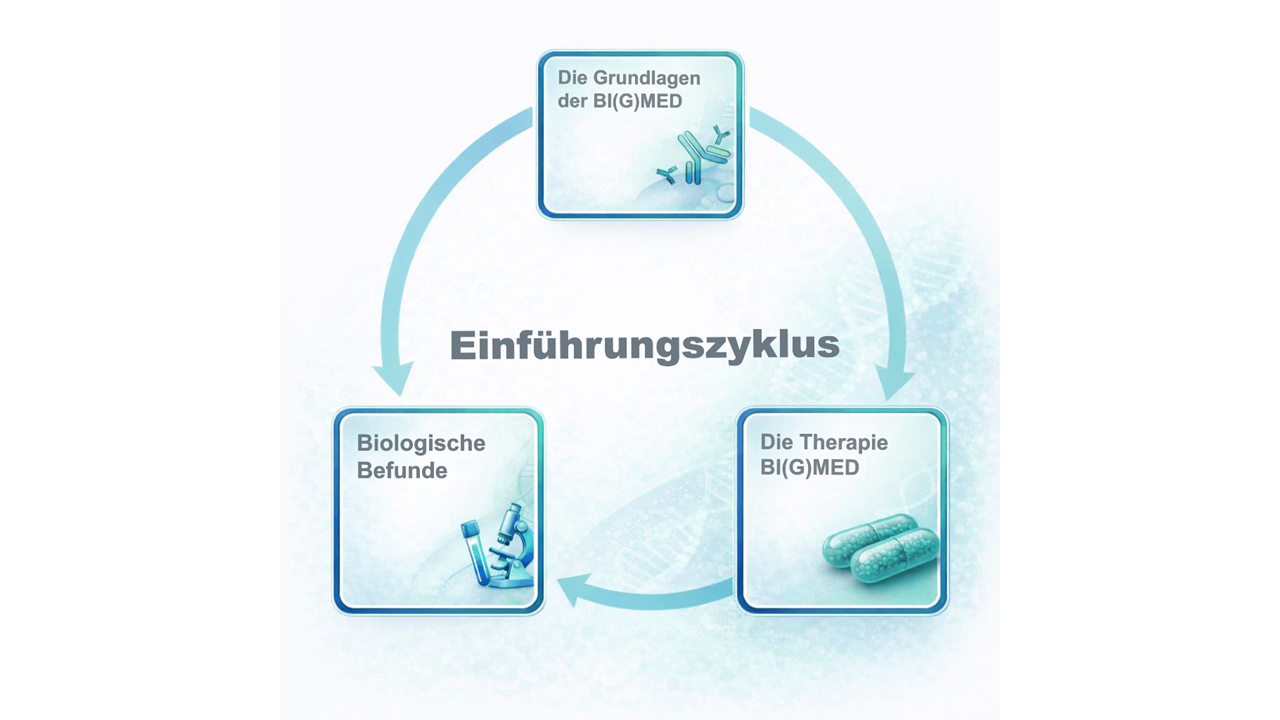 Einführungszyklus – Bild 1