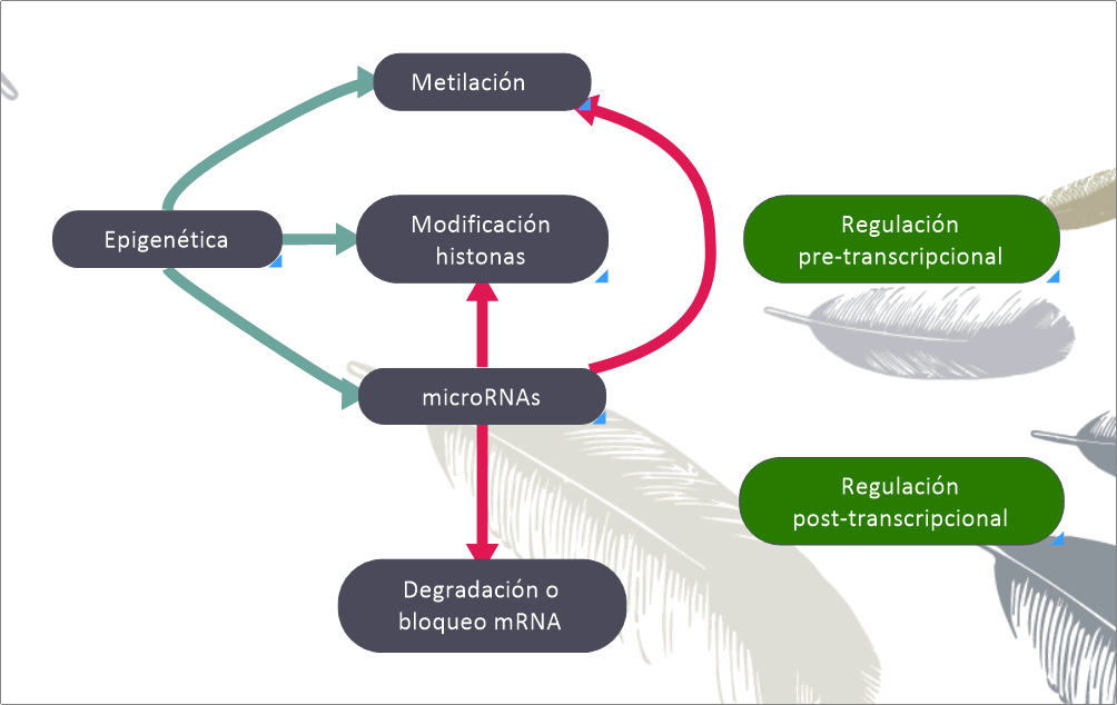 Micro ARNs en tant que biomarqueurs