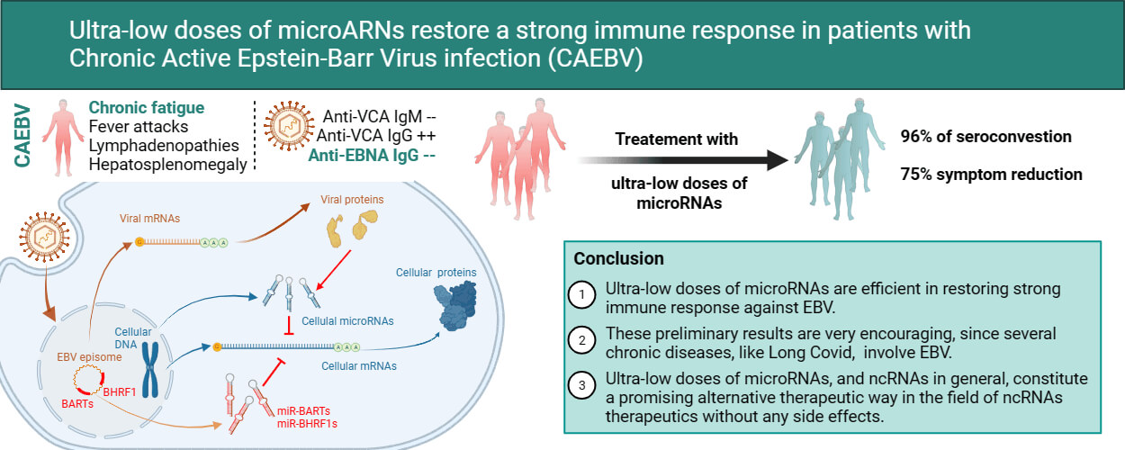 Neue Publikation: Chronische Mononukleose und BI(G)MED