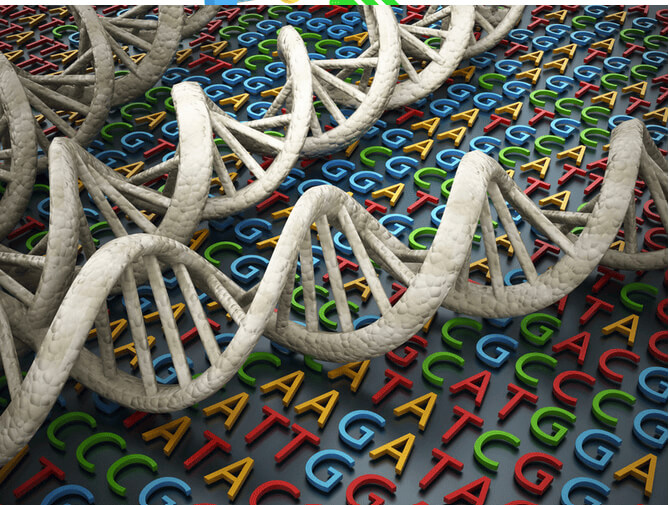 Rolle des Einzelnukleotid-Polymorphismus (SNP) bei stressbedingten Angststörungen