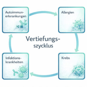 Vertiefungszyklus
