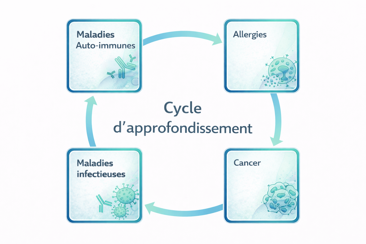 formation approfondissement BI(G)MED