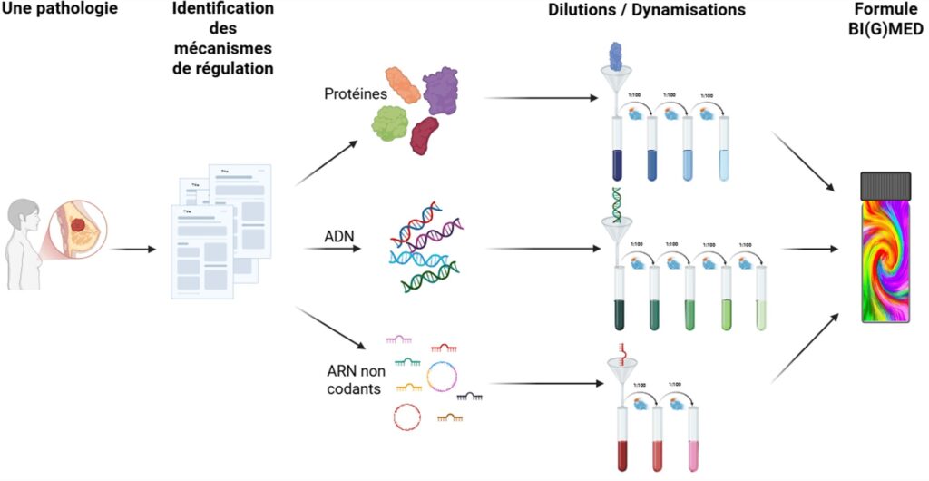 BIGMED-Regulatorformeln